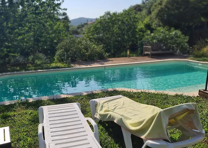 Chalet Casa Di Legnu -t2 - Calme Et Bien Situé *
